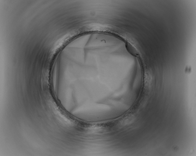 X0000111480581200908251003