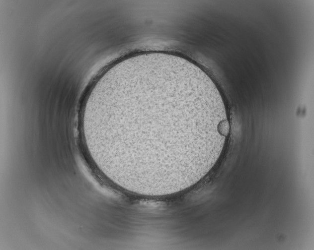 X0000111480582200908251003