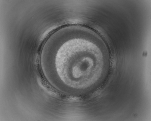 X0000111480583200908251003