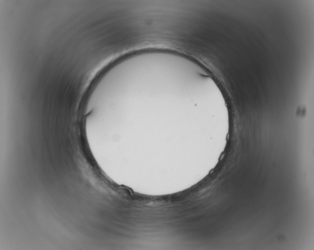 X0000111480584200908251003