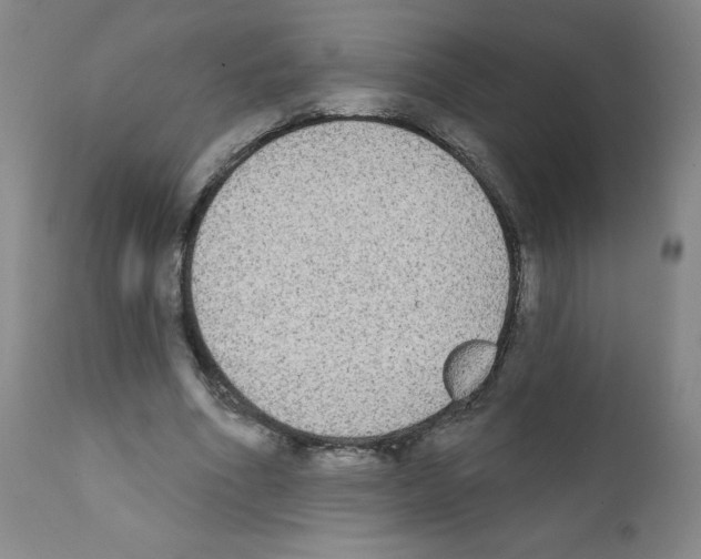 X0000111480586200908251003