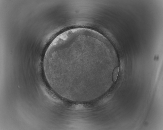X0000111480588200908251003