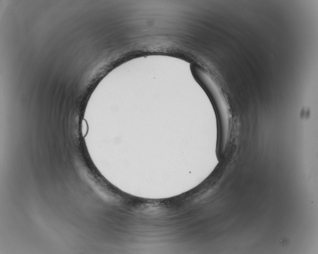 X0000111480589200908251003