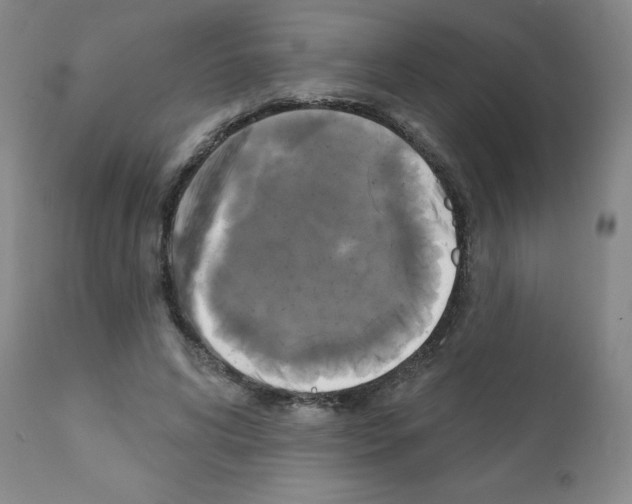 X0000111480592200908251003
