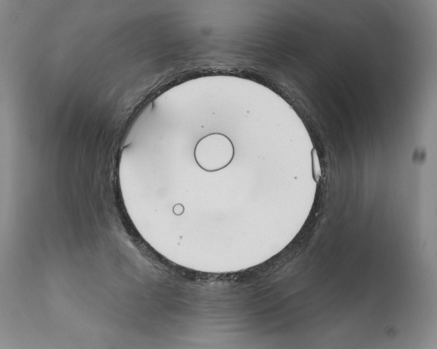 X0000111480593200908251003