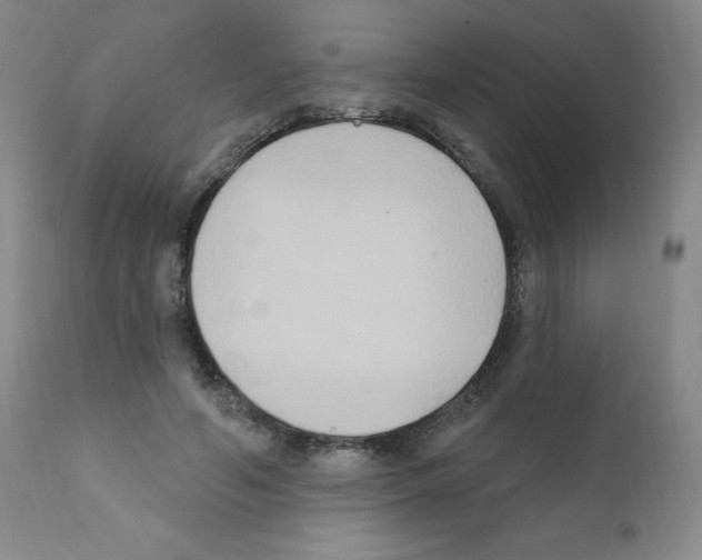 X0000111480594200908251003