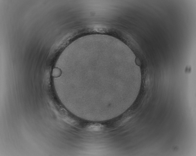 X0000111480595200908251003