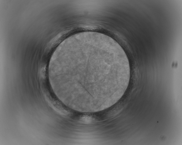 X0000111480596200908251003