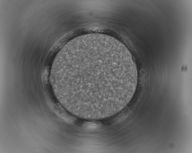 X0000111480597200908251003