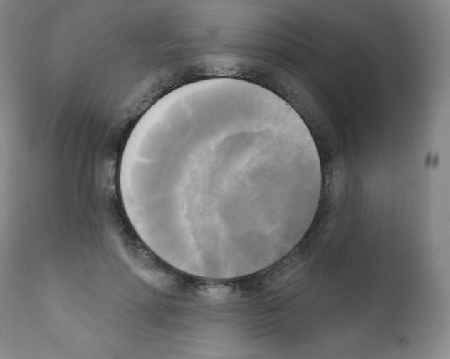 X0000111480598200908251003