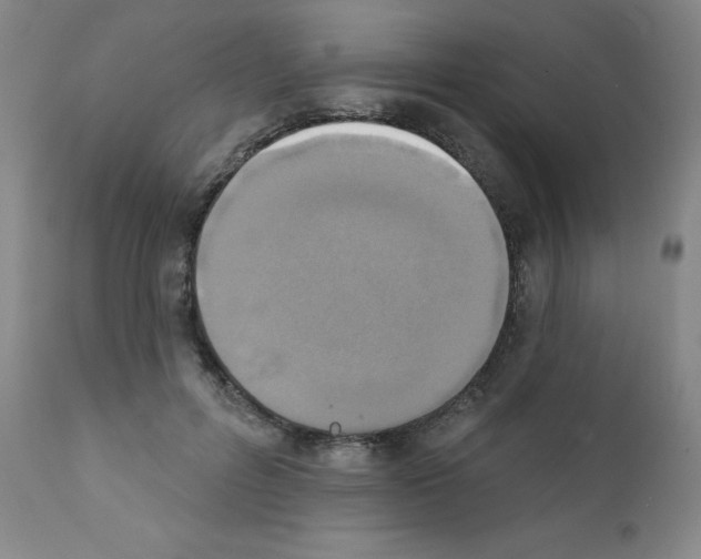 X0000111480600200908251003