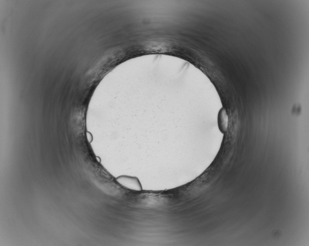 X0000111480601200908251003
