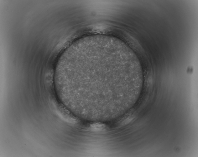 X0000111480603200908251003