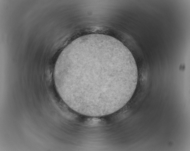 X0000111480607200908251003