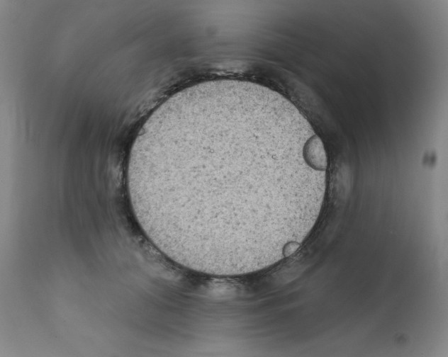 X0000111480608200908251003