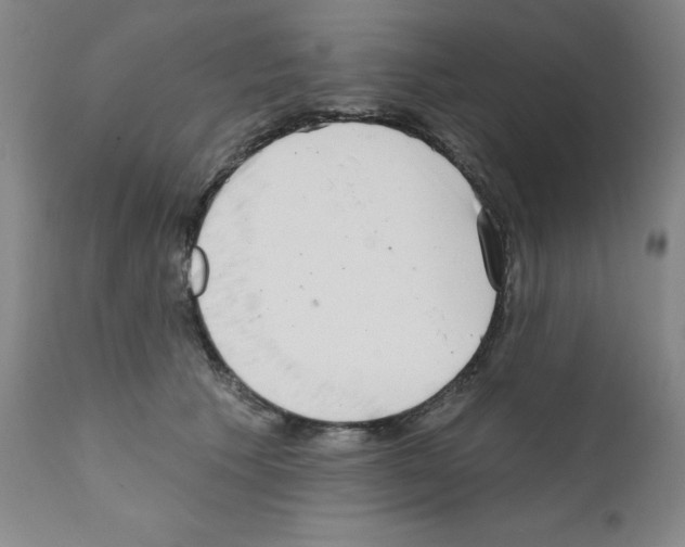X0000111480609200908251003