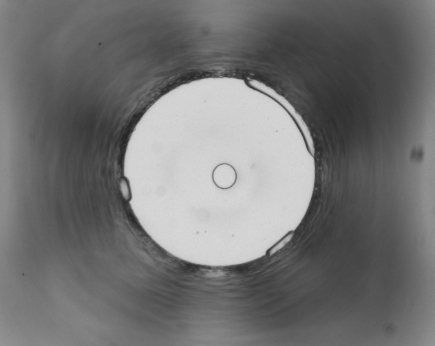 X0000111480611200908251003