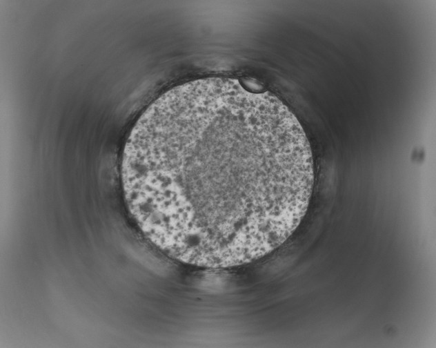 X0000111480612200908251003