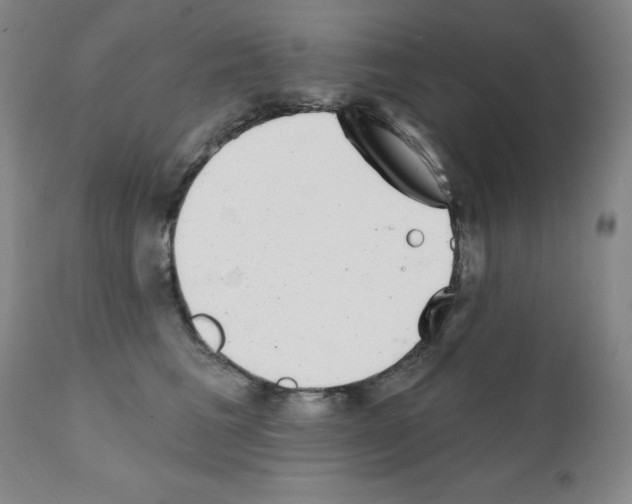 X0000111480613200908251003
