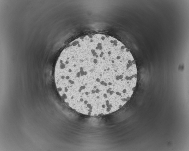 X0000111480615200908251003