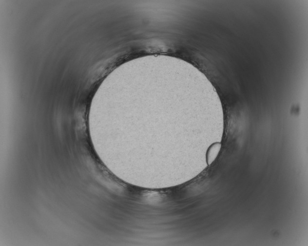 X0000111480616200908251003