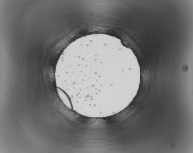 X0000111480617200908251003