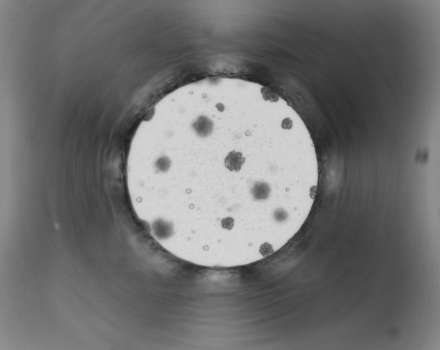 X0000111480619200908251003