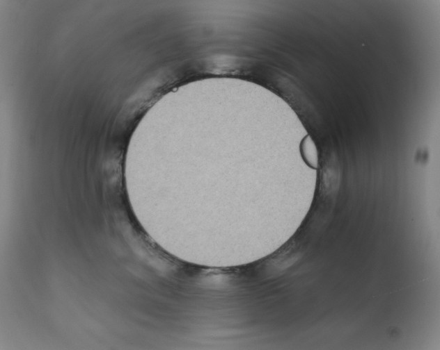 X0000111480620200908251003