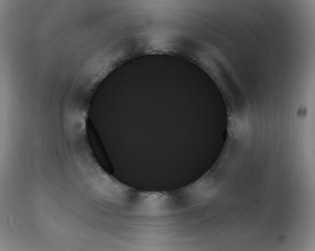 X0000111480621200908251003