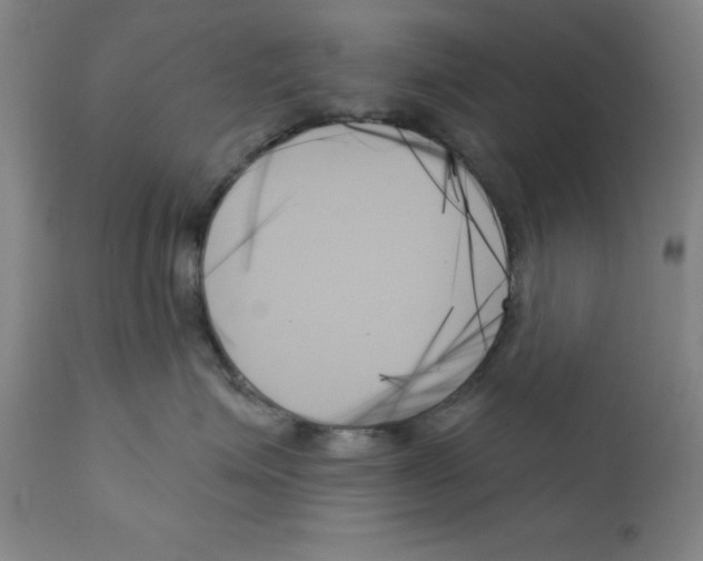 X0000111480623200908251003