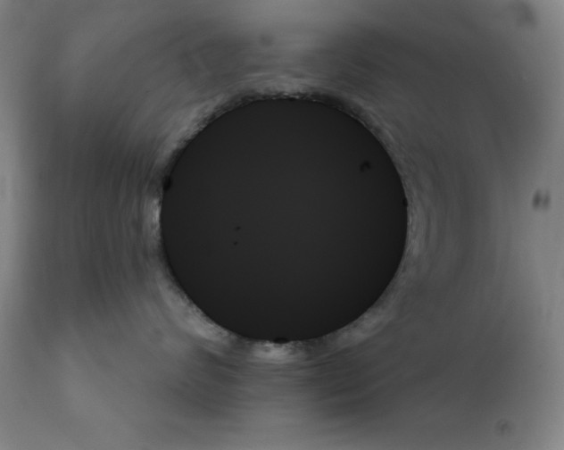 X0000111480624200908251003