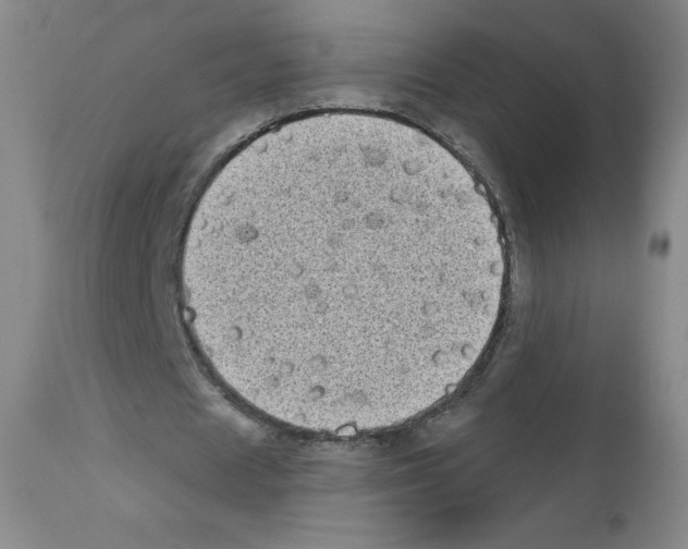 X0000111480625200908251002