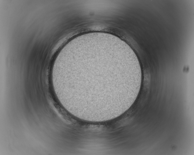 X0000111480626200908251002