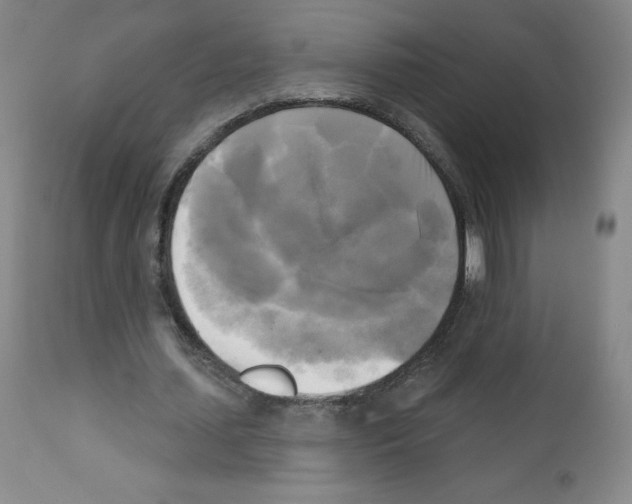 X0000111480627200908251002