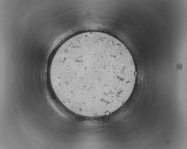 X0000111480630200908251002