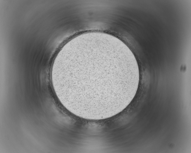 X0000111480632200908251002
