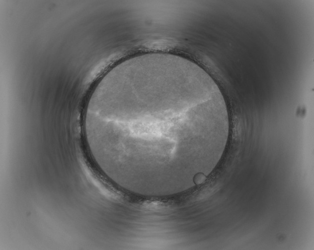 X0000111480634200908251002