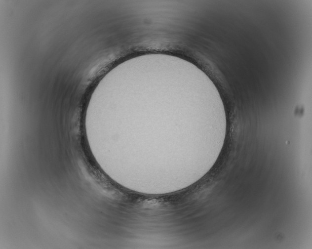 X0000111480635200908251002