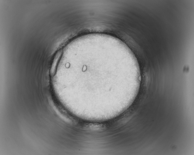 X0000111480638200908251002