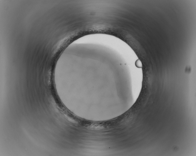 X0000111480640200908251002
