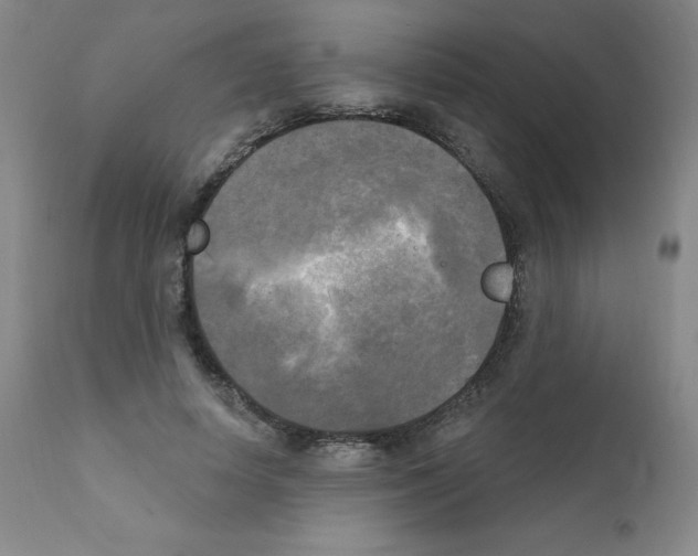 X0000111480642200908251002