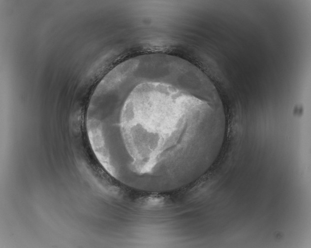 X0000111480647200908251002