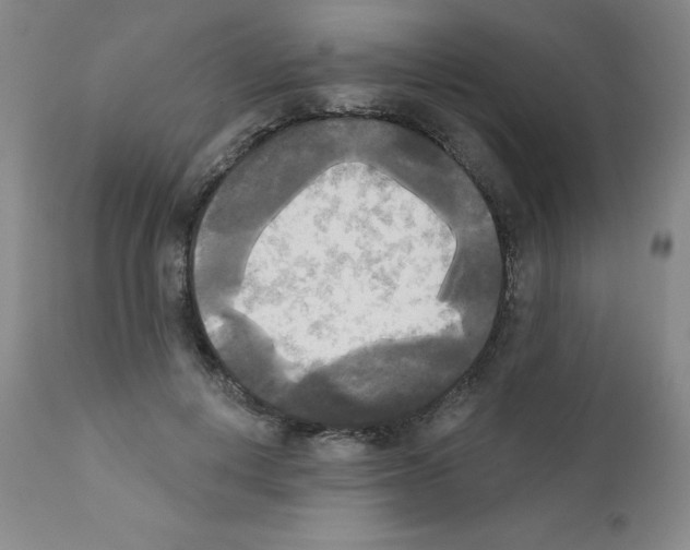 X0000111480648200908251002