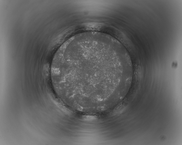 X0000111480649200908251002