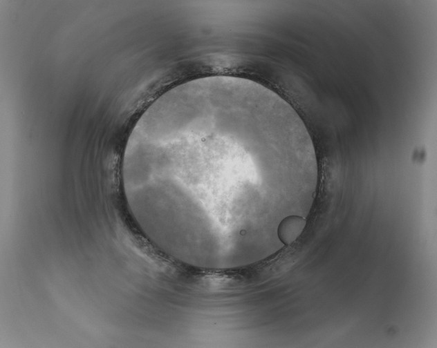 X0000111480650200908251002
