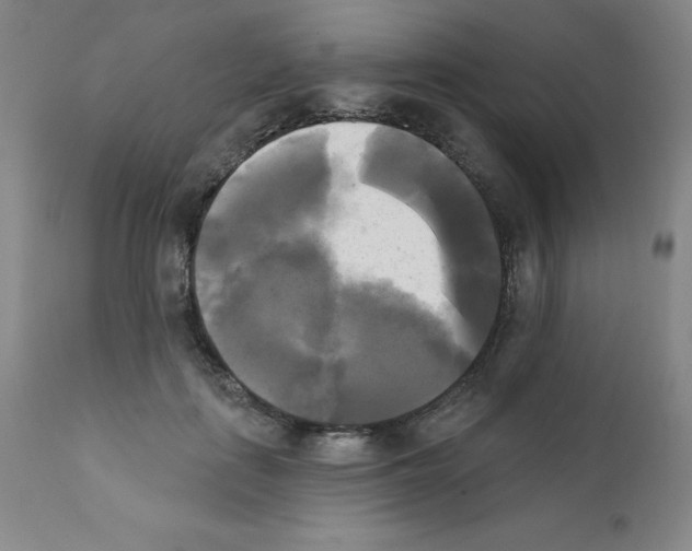 X0000111480651200908251002