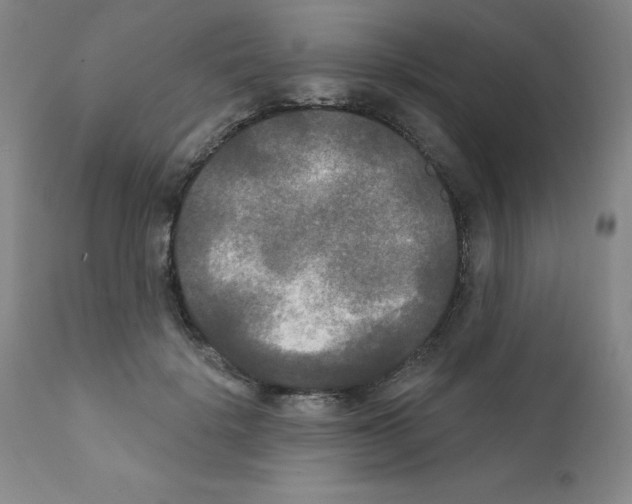 X0000111480652200908251002