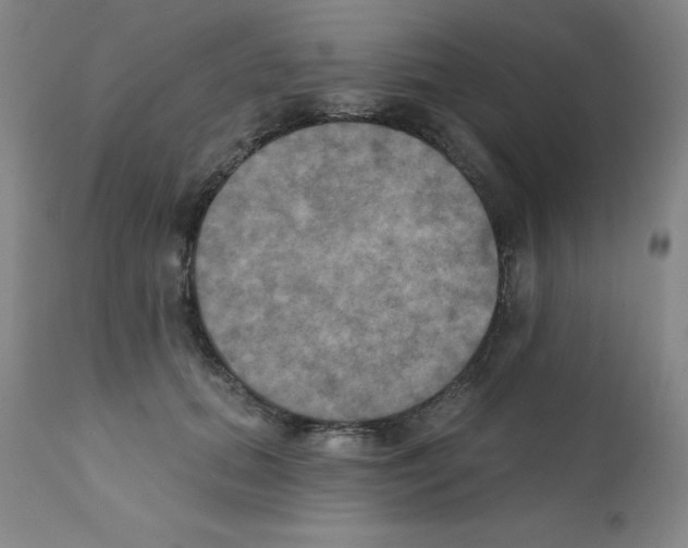 X0000111480655200908251002
