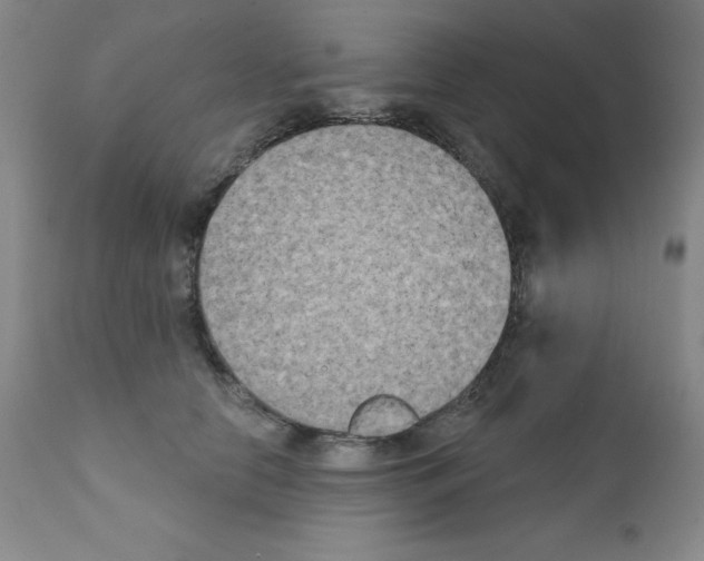 X0000111480658200908251003