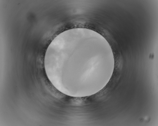 X0000111480661200908251003